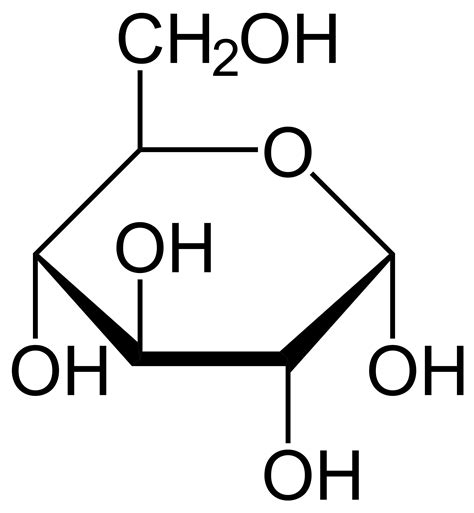 Funcion De La Glucosa 2