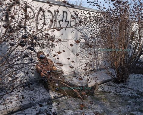 3014 Best Russian Porn Images On Pholder Russia Ukraine War2022 Ukraine War Video Report And