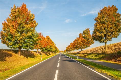Fall Trees Heaven - Free photo on Pixabay