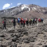 Jours D Ascension Du Kilimandjaro Par La Route Machame Getyourguide