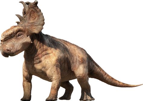 Walking With Dinosaurs Patchi The Pachyrhinosaurus By Qwoodland On