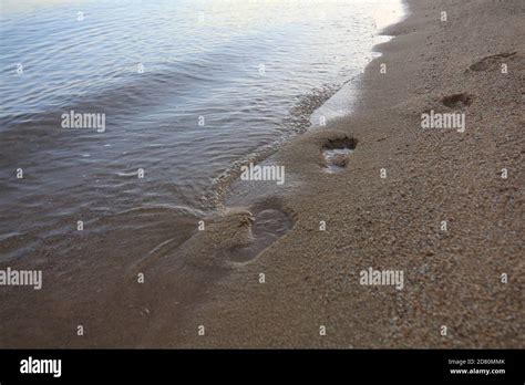 Textura Del Fondo Huellas De Los Pies En La Arena Cerca Del Agua En