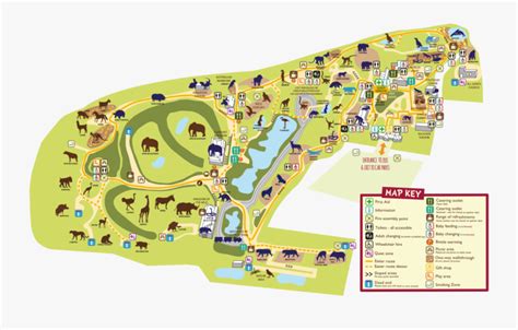 Colchester Zoo Map Zoo Map - Colchester Zoo Map , Free Transparent ...