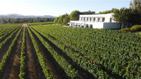 13 Best Wine Estates And Farms In And Around Cape Town In 2023