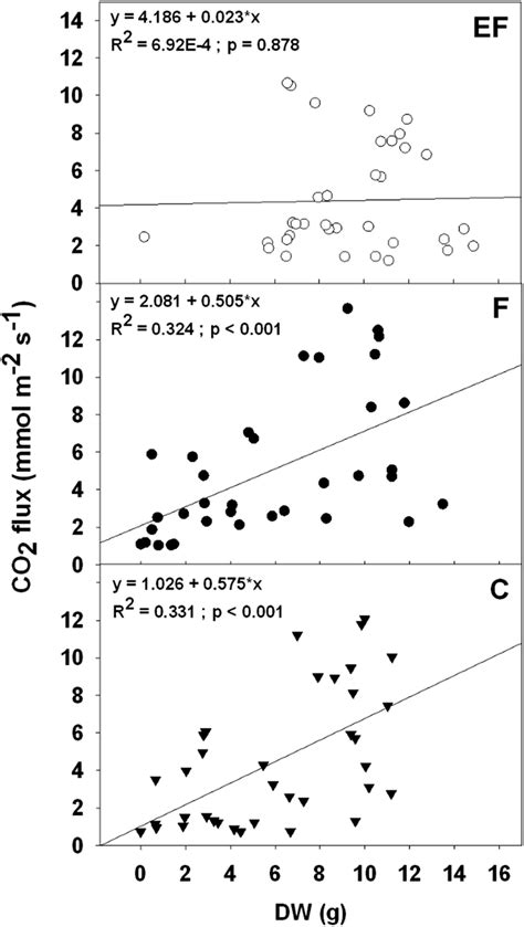 Linear Regressions Between Metabolic Rate Measured On Wrack Patches And