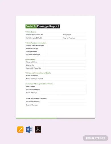 Vehicle Report 10 Examples Format How To Use Pdf