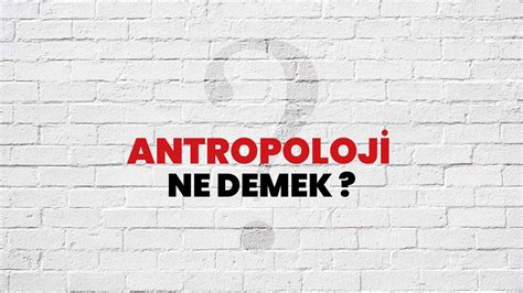 Antropoloji Ne Demek Ne Anlama Gelir Antropoloji Kelimesi TDK Sözlük