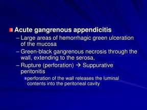 Ppt The Pathology Of Appendix And Peritoneum Powerpoint Presentation Id 5629562