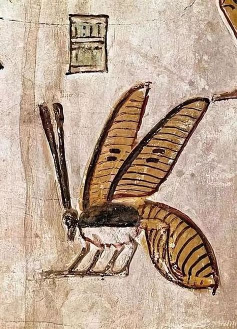 Relief Of A Honey Bee Ancient Egypt Art Ancient Egypt Egyptian Painting