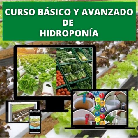 Curso B Sico Y Avanzado De Hidropon A Vidal P Ez Hotmart