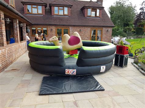 Bucking Camel Hire Rodeo Bull Hire In Essex London And Nationwide