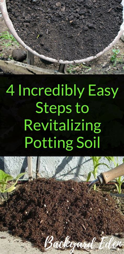 Revitalizing Potting Soil Incredibly Easy Steps To Reuse Soil