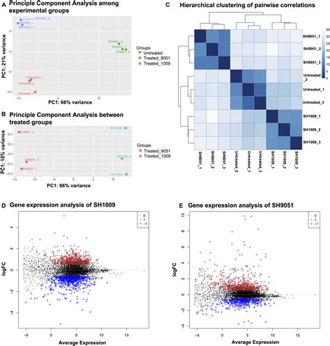 Frontiers Combining Genome Wide Gene Expression Analysis RNA Seq