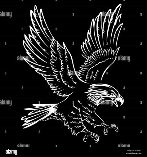 Bald Eagle Silhouette Isolated On Black This Vector Illustration Can