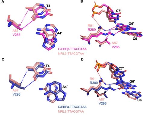 Figure From Structural Basis For Specific Dna Sequence Recognition By