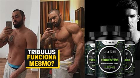 Tribulus Terrestris Funciona Mesmo N O Compre Antes De Assistir Esse