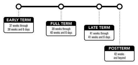 How Many Weeks Is A Pregnancy Considered Full Term Pregnancywalls