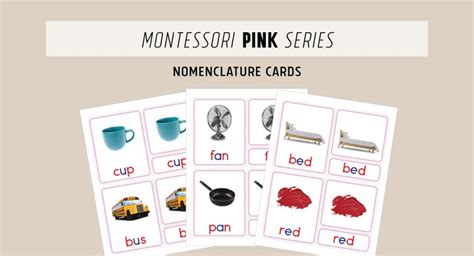 Tarjetas De Nomenclatura Montessori Serie Rosa Palabras Cvc Aprender A Leer Aprender A