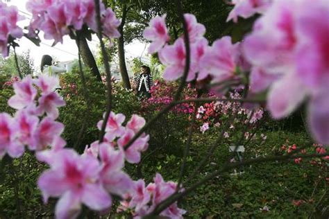 Wuhan Garden Chinas Bl Hende Landschaften Der Spiegel