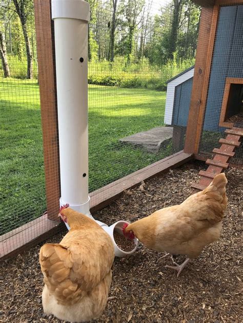 Pvc Pipe Chicken Feeder Plans Etsy In 2024 Chicken Feeders Chicken Feeder Diy Chicken Diy