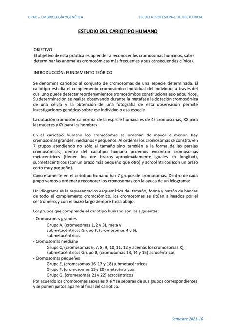 S Instructivo Cariotipo Humano Estudio Del Cariotipo Humano Objetivo