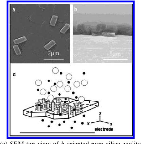 Figure From Molecular Sieving In A Nanoporous B Oriented Pure Silica