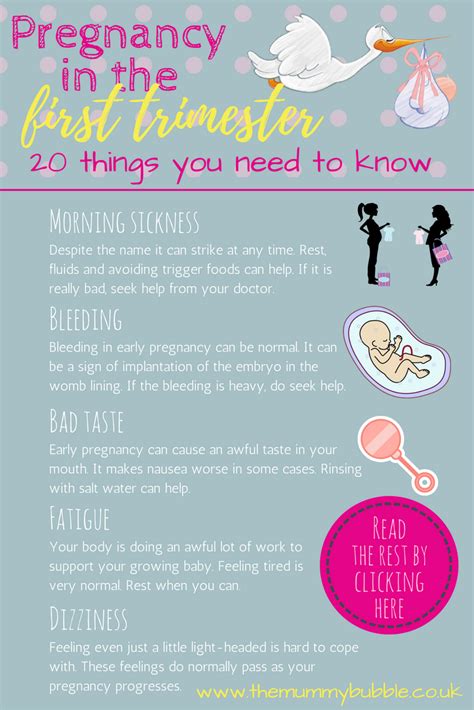 20 Things Pregnant Mums Need To Know About The First Trimester The Mummy Bubble