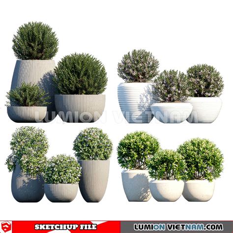 Plant Pots Sketchup Models By Dinh Thanh