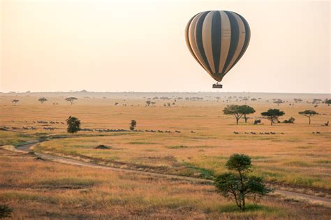 On Safari in Tanzania with Four Seasons