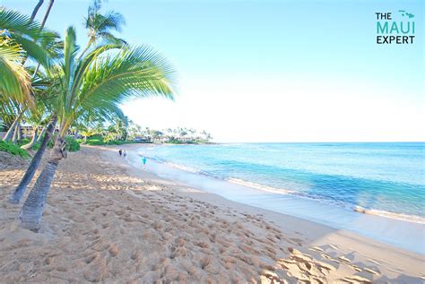 The Maui Expert Napili Bay Maui