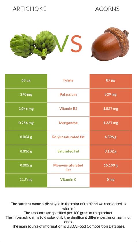 Artichoke Vs Acorns In Depth Nutrition Comparison