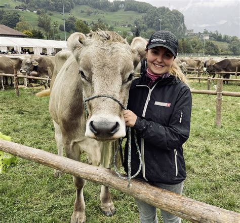 Grosse Ehre Braunvieh Zu Repräsentieren Schweizer Bauer