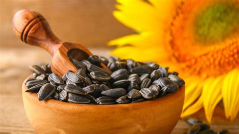 Know How To Eat Sunflower To Make Your Meals Healthier Healthshots