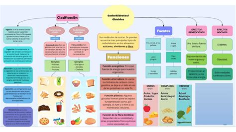 Estructura De Carbohidratos Lipidos Proteinas Y Acidos Nucleicos