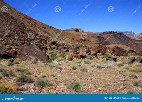 Boulder Field In Mineral Canyon Grand Canyon National Park Stock