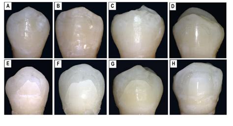 Digital Microscope Photographs Of Debonded Specimens A D Etched With