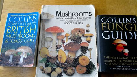 Review Of Fungi Identification Guidebooks Galloway Wild Foods