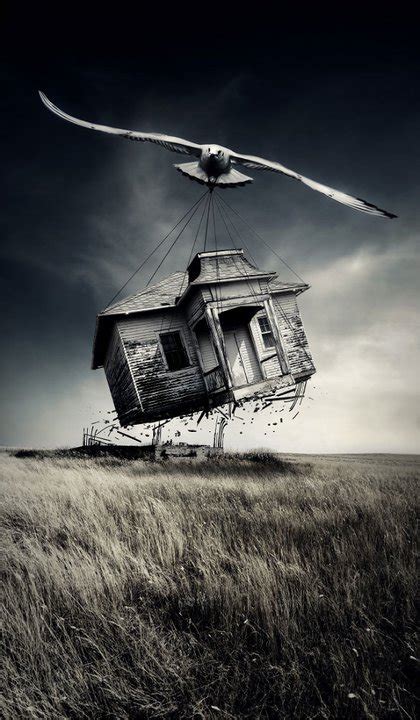 Flying House Flying House Art And Pictures