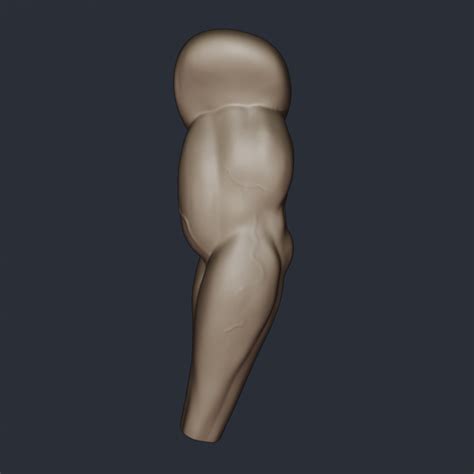 Male Anatomy Need Feedback Polycount