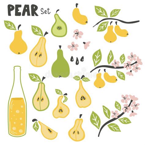 Pear Set Pear Whole Chopped Half Quarter Cut Slices Pear Leaves And