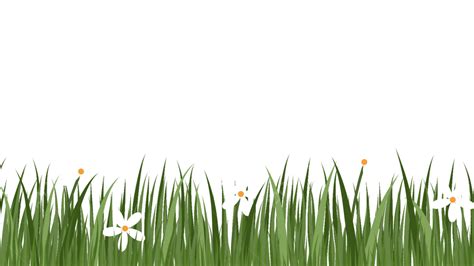 Wild Grass Png Transparent Download For Dark Green Cartoon Grass With