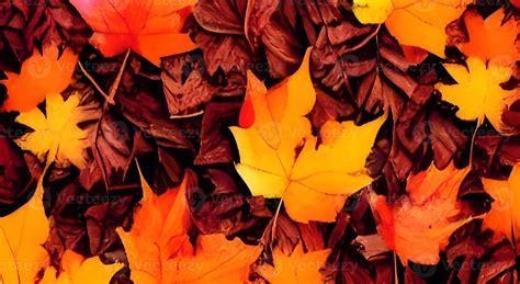 Red And Orange Autumn Leaves Background 11207190 Stock Photo At Vecteezy