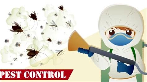 Top 6 Best Pest Control Sprayers [Jan 2025] Reviews & Buying Guide