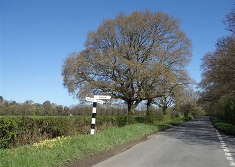 Cuckoo Lane North Leigh Des Blenkinsopp Cc By Sa Geograph