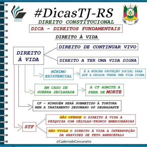 Mapas Mentais Sobre Democracia Study Maps Em Direitos E