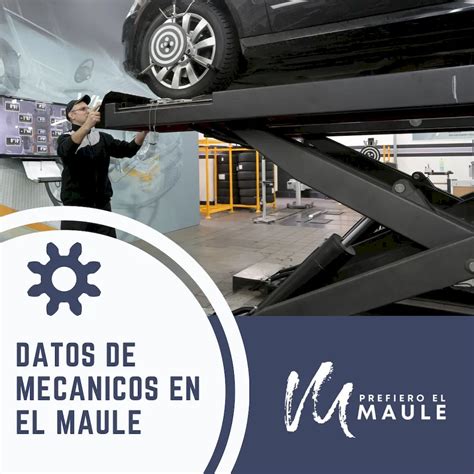 Nueva Iniciativa De Prefiero El Maule Busca Ayudar A Diferentes Oficios