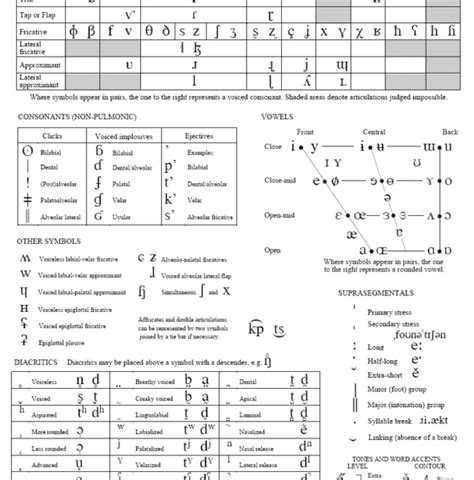 interactive cd rom   international phonetic alphabet paul meier