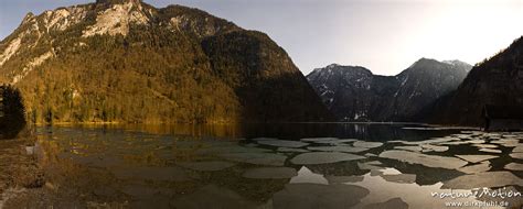 Eisschollen und Äste im Wasser spiegelt sich gelbroter Wald Licht