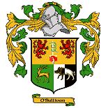 irish coat  arms family crest   irish surnames images