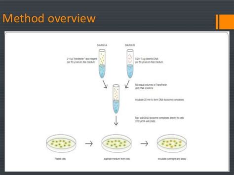 Transfection